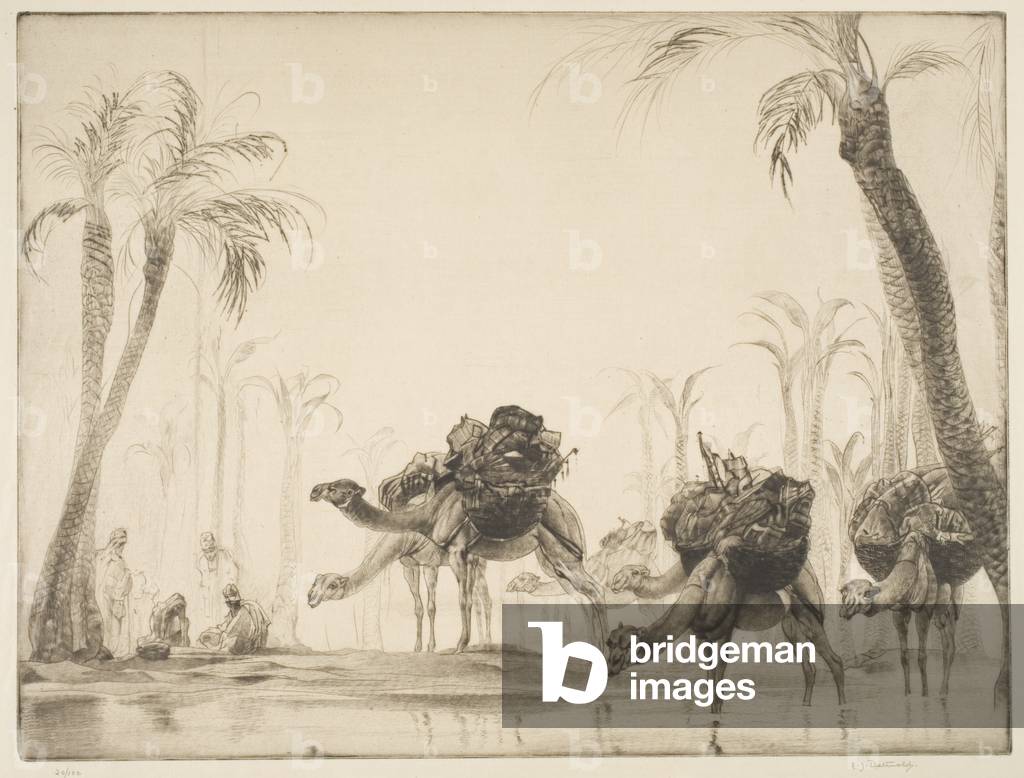 "Oase (Ätzen" von Edward Julius Detmold, b/w