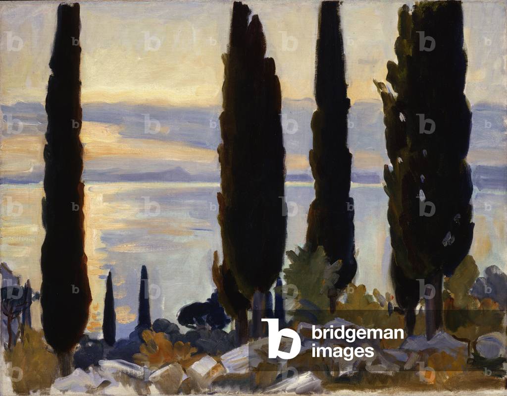 Immagine di Dipinto "Cipresso alberi a San Vigilio" 1913 di John Singer Sargent