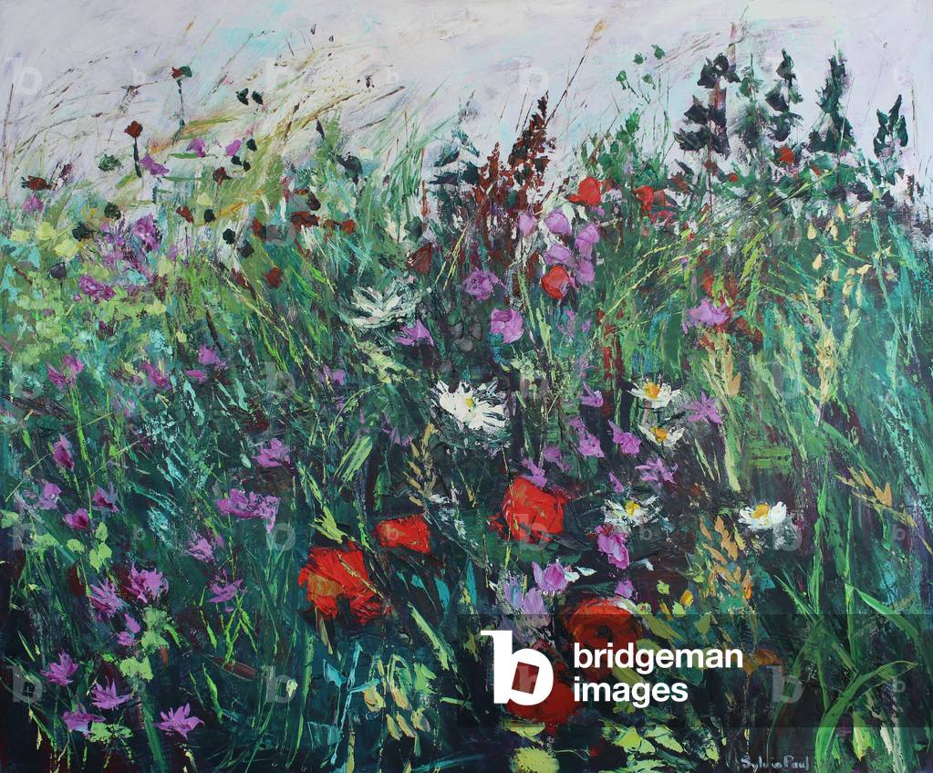 Prato fiorito selvatico