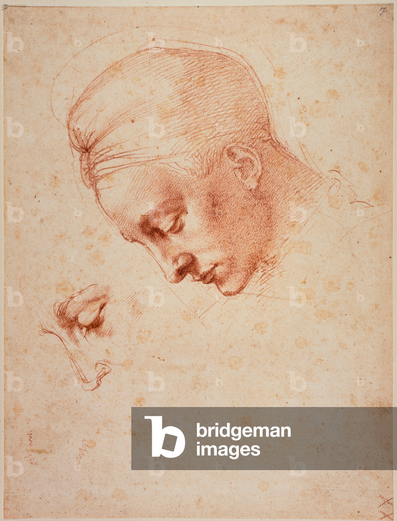 Image of Drawing depicting Studies for the head of 'Leda' by Michelangelo Buonarroti