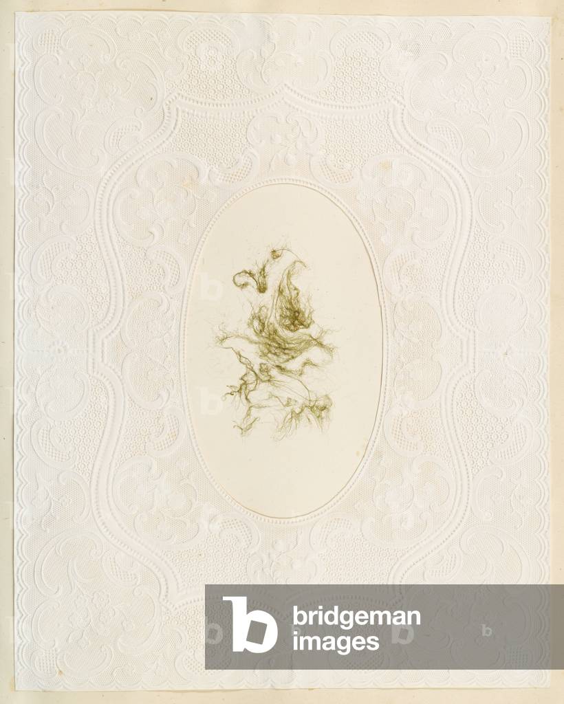 Algen, 1848 (Baupapier, Algen, Algen, Deckchen)