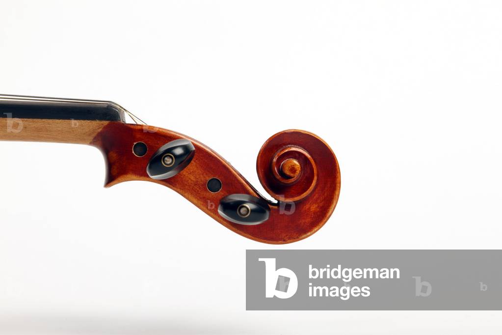Generic - Violin scroll