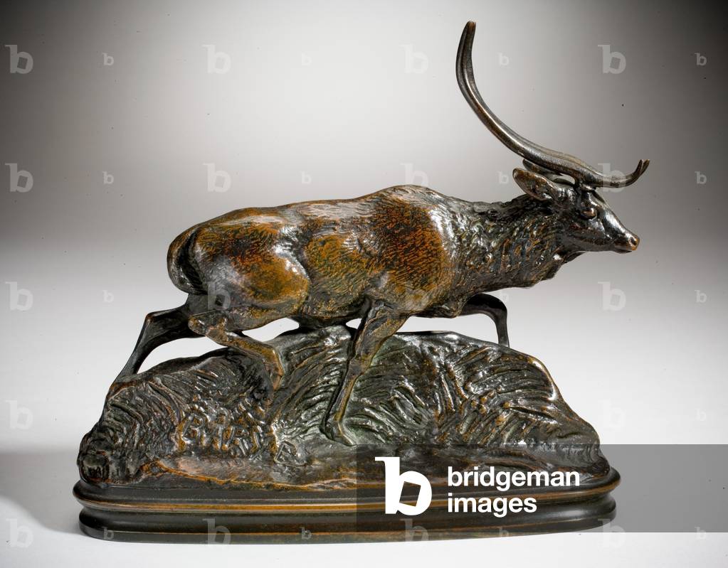 Cerf du Java, 19th century (bronze)