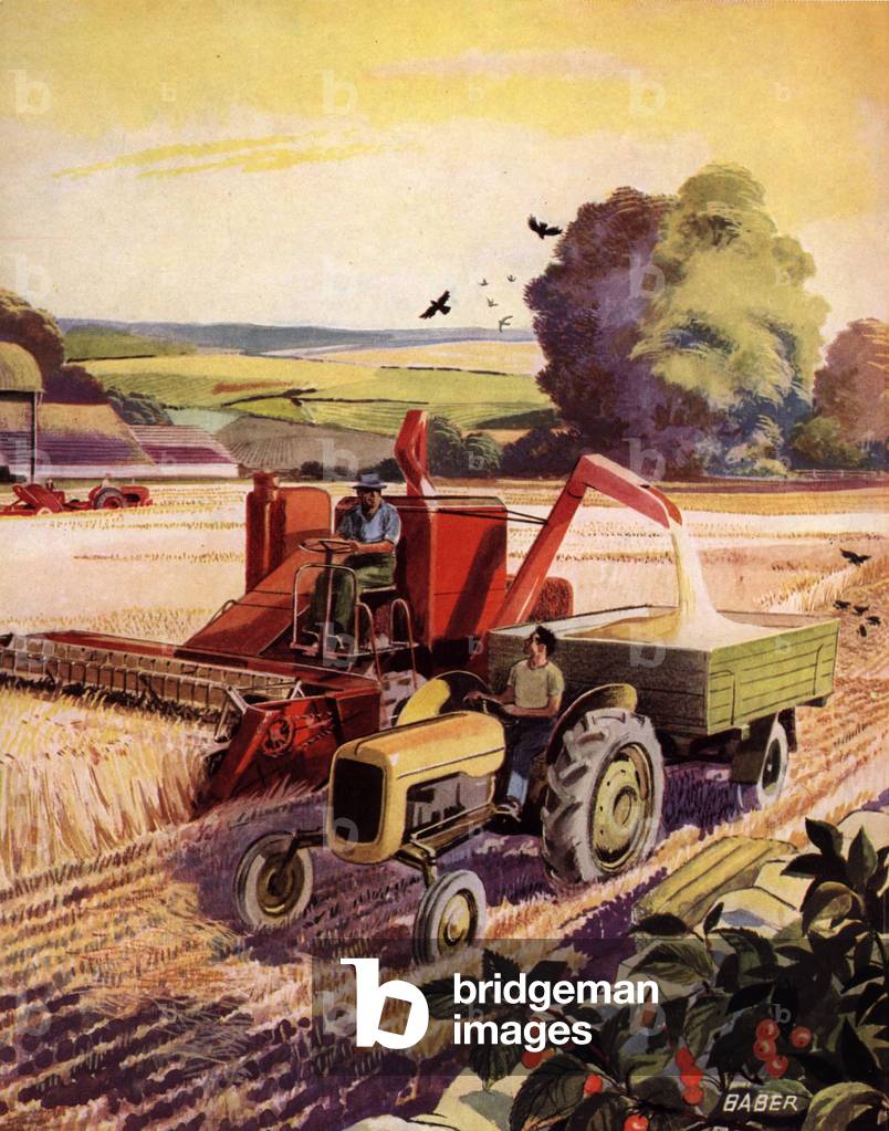 Image de Estampe représentant Tracteur