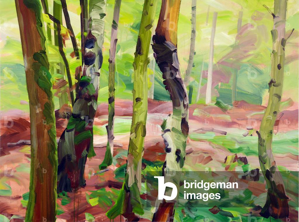 Forêt 21, 2017 (acrilico su tela)