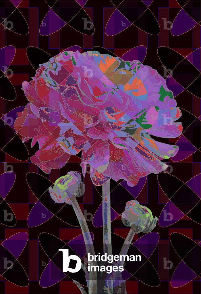 Immagine di Arte digitale "Garofano" 2019 di Scott J. Davis