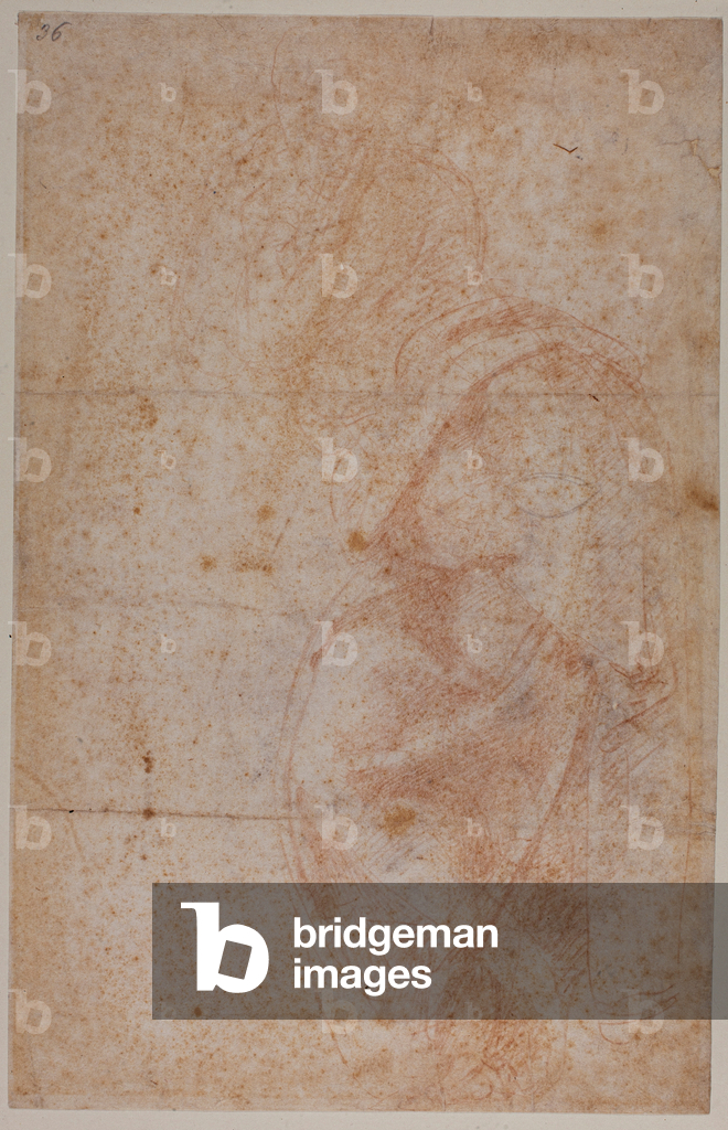 Image of Drawing depicting Figure studies by Michelangelo Buonarroti