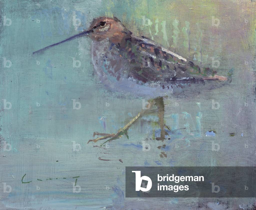 Snipe (olio a bordo)