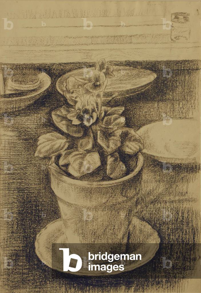Bild von Zeichnung "stillleben afrikanisch violett in ein blumen topf spät 1960er s (kreide auf papier)" 1965 