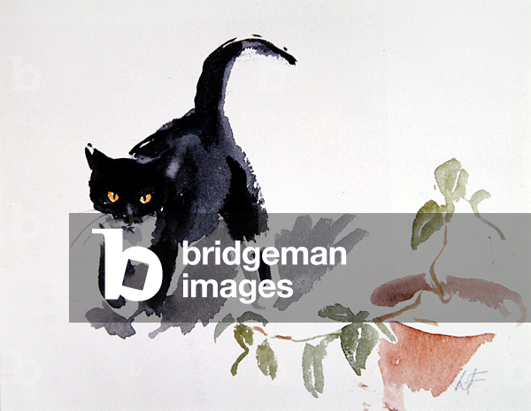 Muffin Wide-Eyed (w/c su carta)