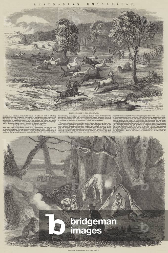 Australian Emigration (engraving) by Harrison William Weir, b/w