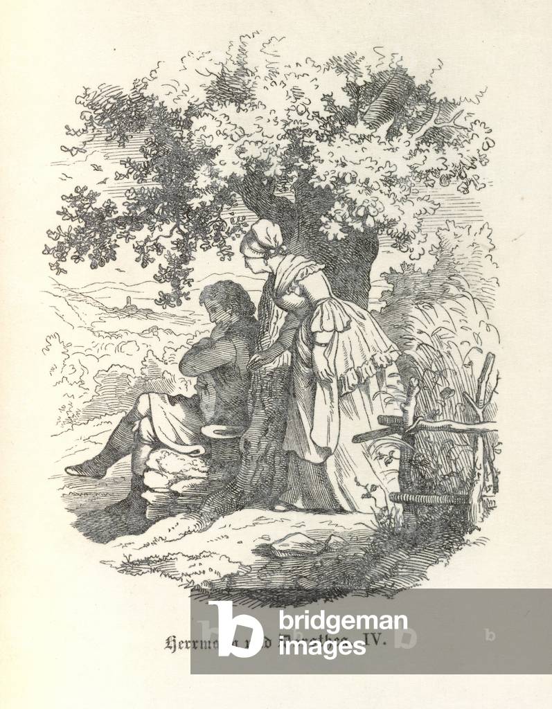 Image of Under a tree
