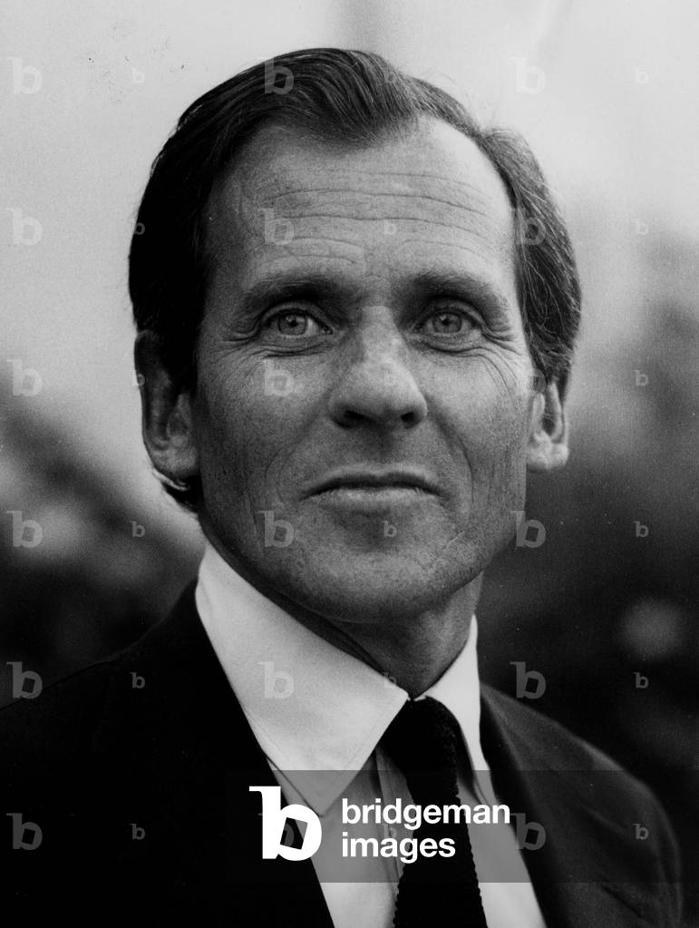 Ritratto di Jean d'Ormesson (foto)
