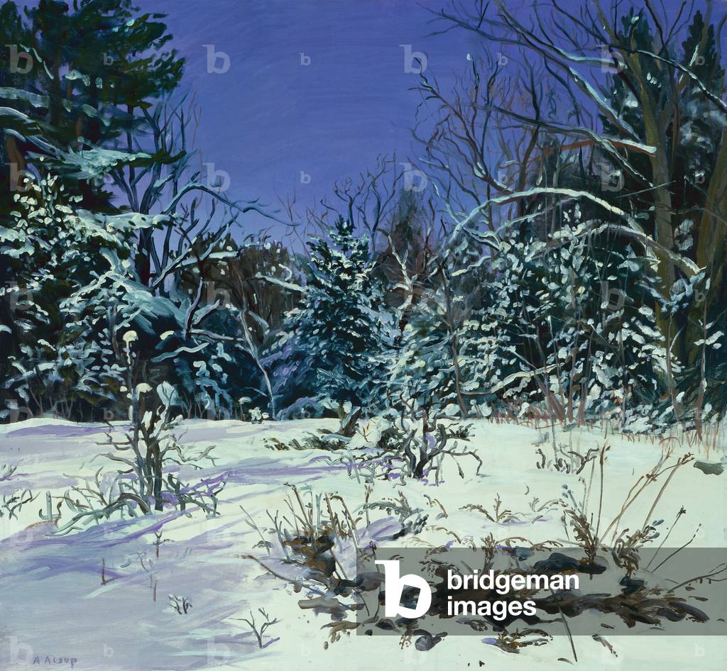 Gennaio nella Neve, 1984 (olio su tela)