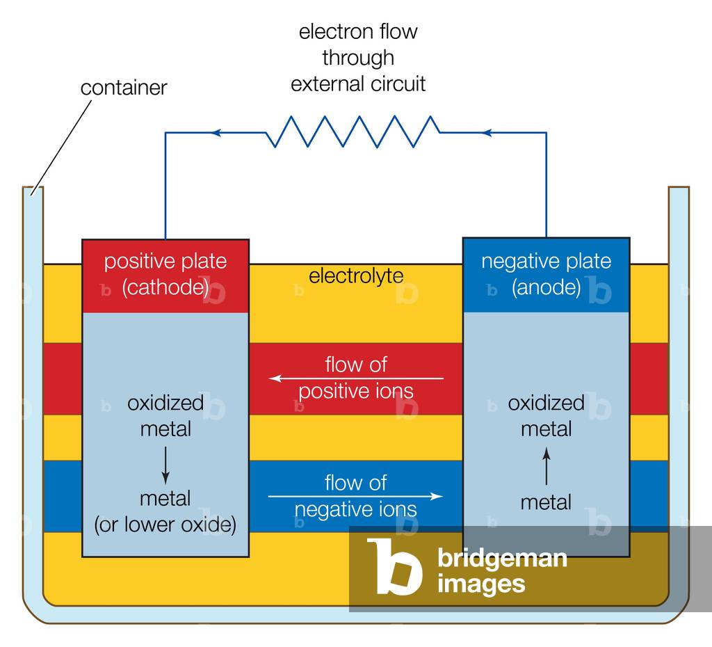 Basic components of an electrochemical cell. by