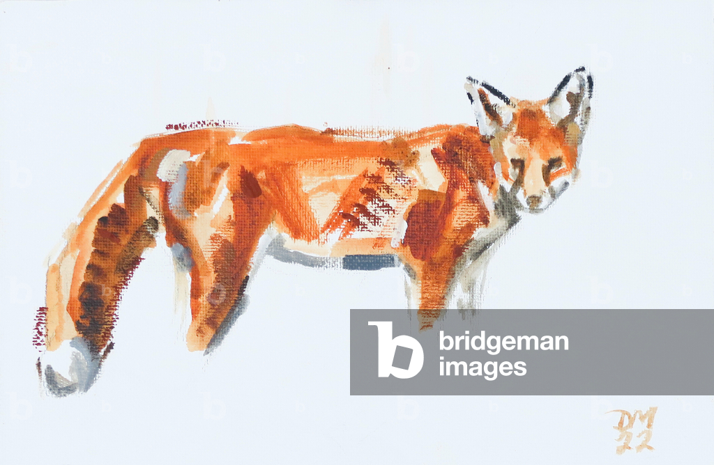 Image de Peinture représentant Red Fox 2022 par David Mayer