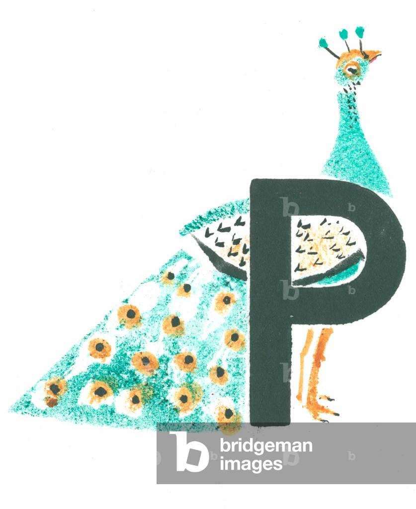 "P è per peacock" 2015 di Mary Kuper