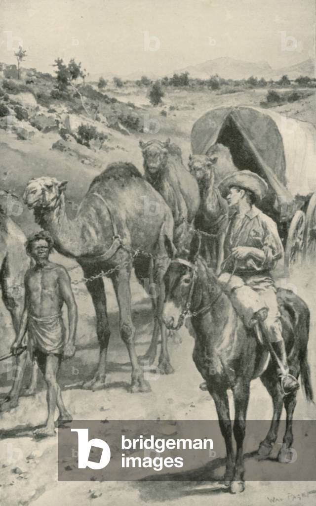 Image de Estampe représentant A Camel-Caravan par Walter Stanley Paget