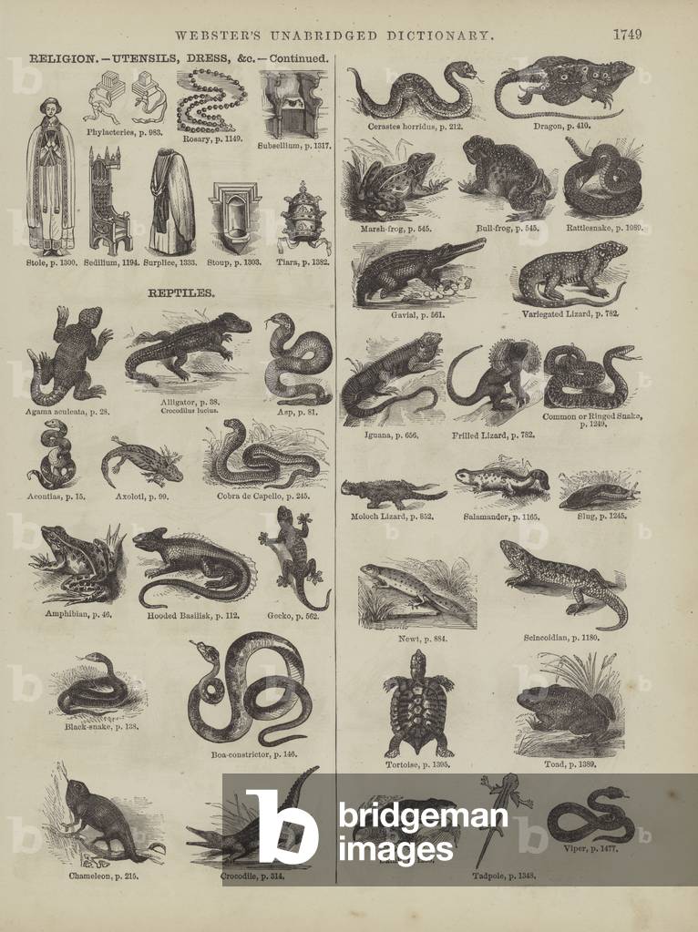 Pagina dal dizionario completo di Webster's (George Bell, 1877). (incisione)