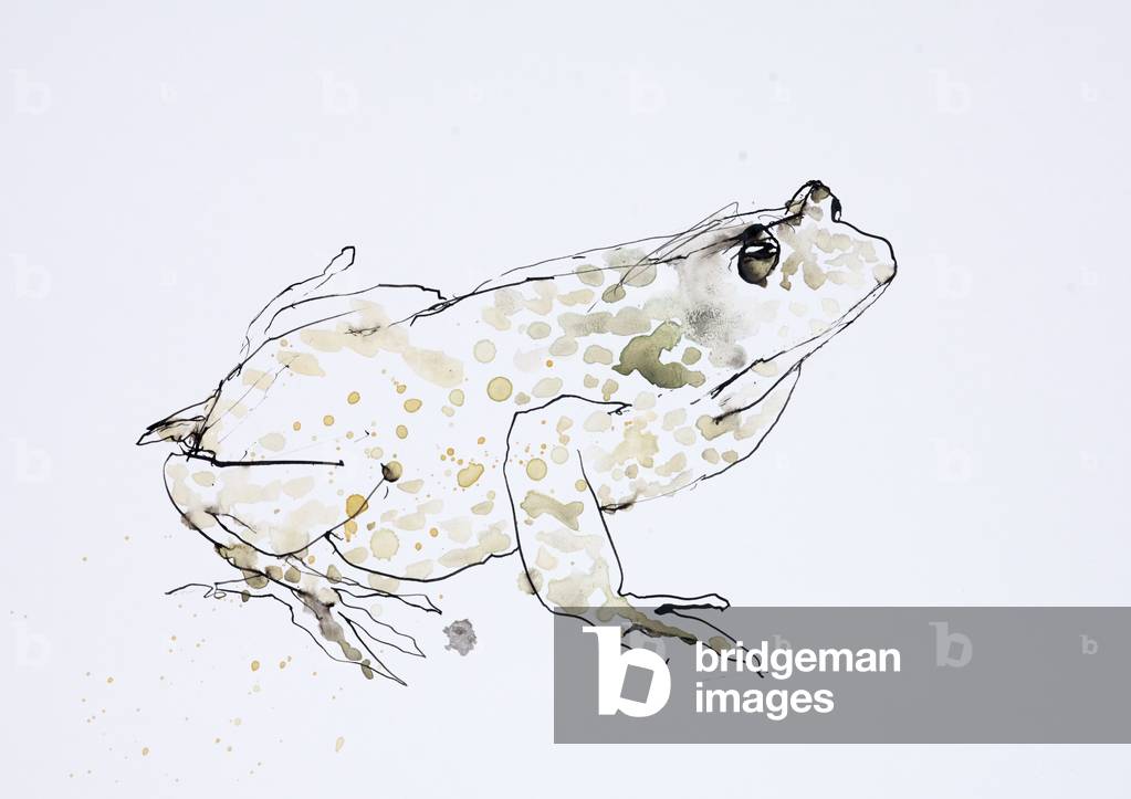 Animals (Reptiles) 1 (drawing)