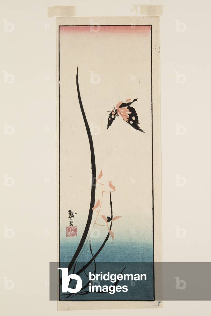 "Schmetterling und Gras (farbiger Holzschnitt-Druck)" von Katsushika II Taito