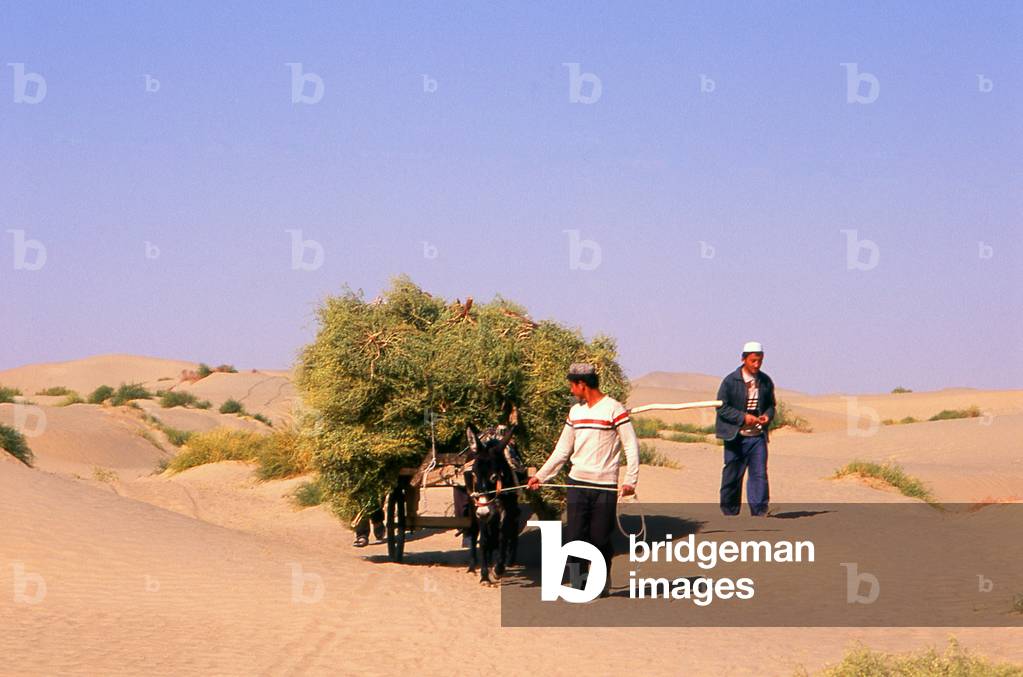 "China: Uigurische Männer mit Eselwagen in der Nähe des Imam Asim Mazar (Schrein) in der Wüste in der Nähe von