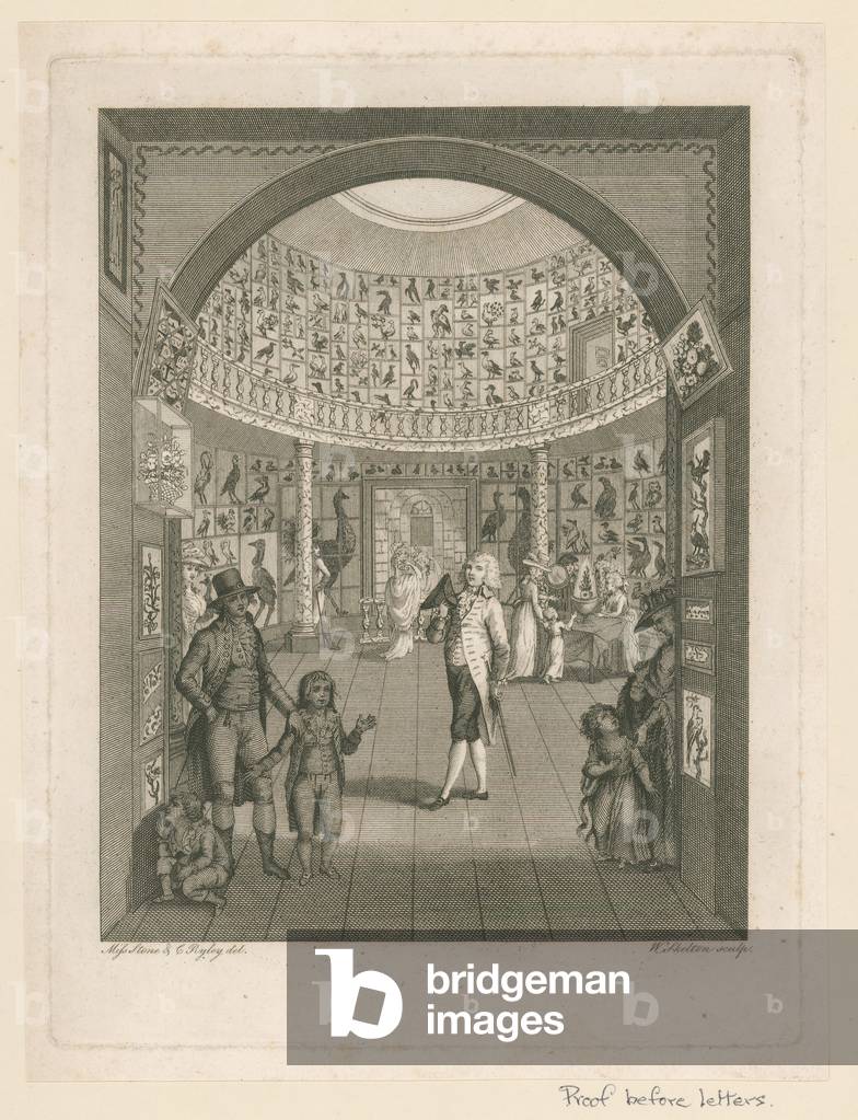 "Rotunda im Leverian Museum (Gravur)" von English School, b/w