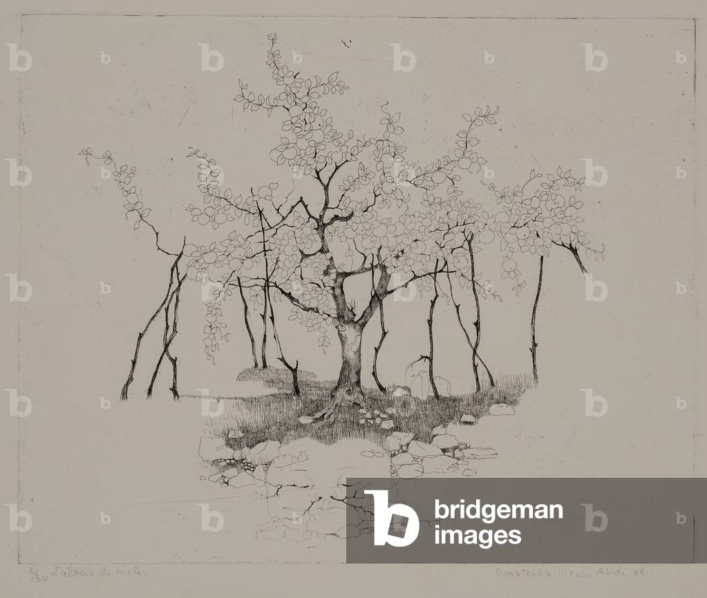 Der Apfelbaum, 1968 (Kupferstich)