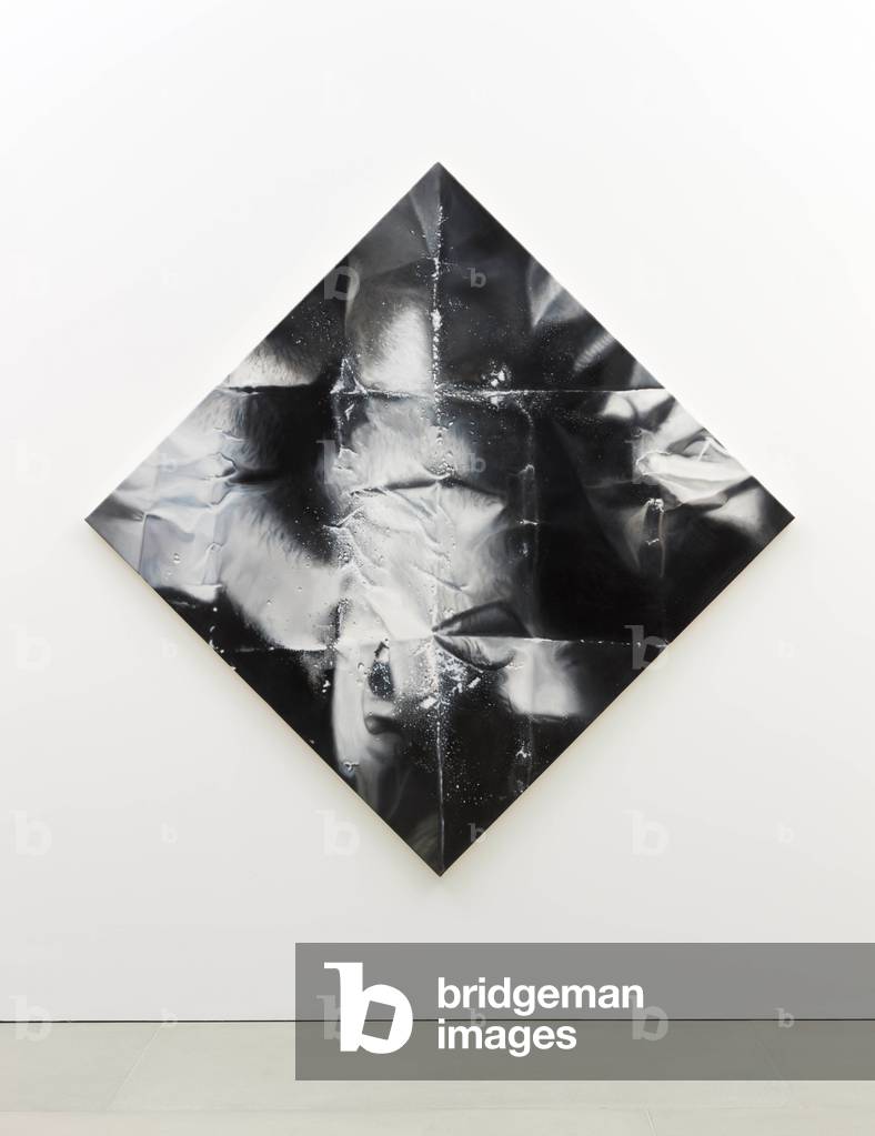 Immagine di Fotografia "Night Moves" 2012 di Mat Collishaw