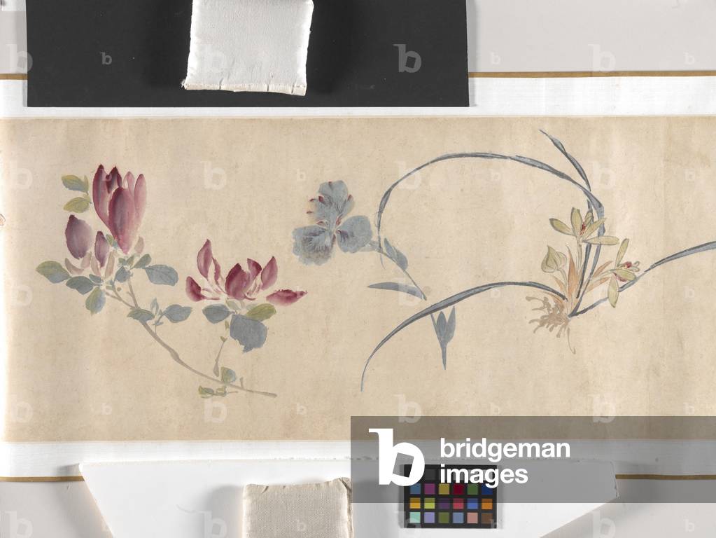 Coloured Flowers, 1602 (ink and colour on paper)