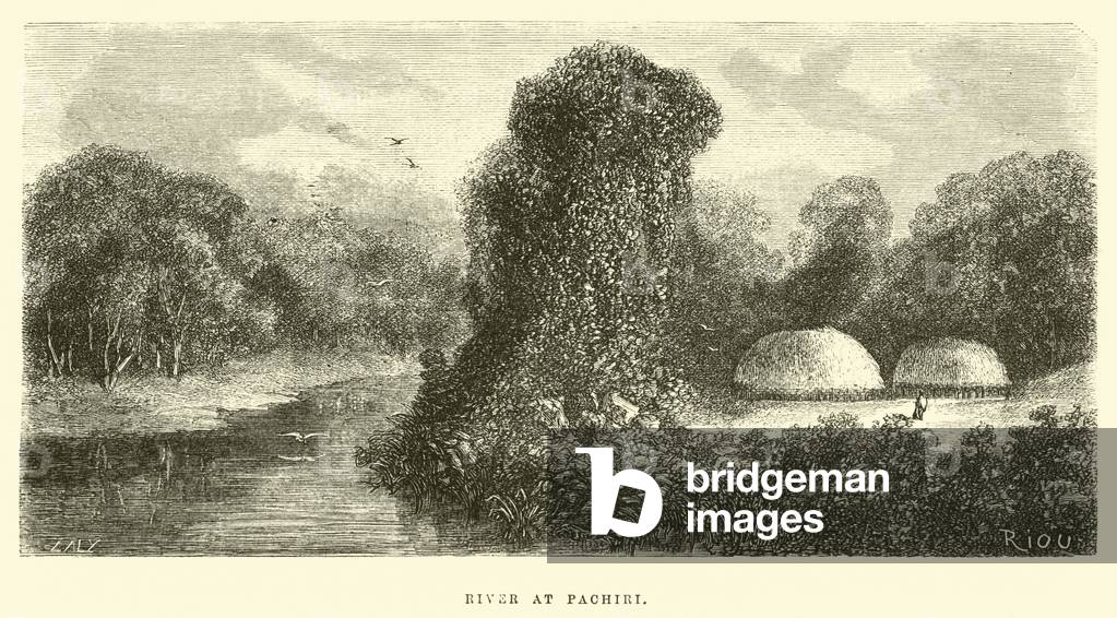 "Fiume a Pachiri (incisione)" di Edouard Riou, b/w