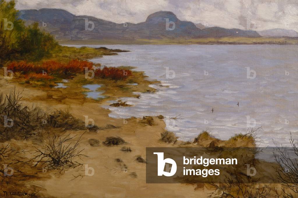 Strandabschnitt bei Soneren (Andersnatten), 1899