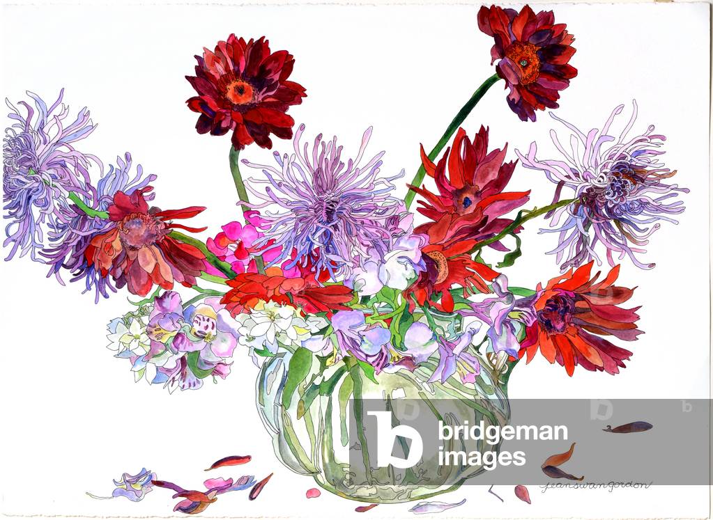 Gerbera margherite, Stella di Betlemme, Ragno crisantemi, Heisey brocca, 2000 (w/c & inchiostro su carta)