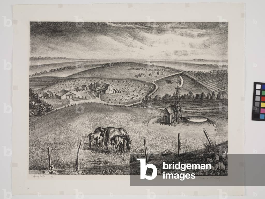 Spring Colts (litho)