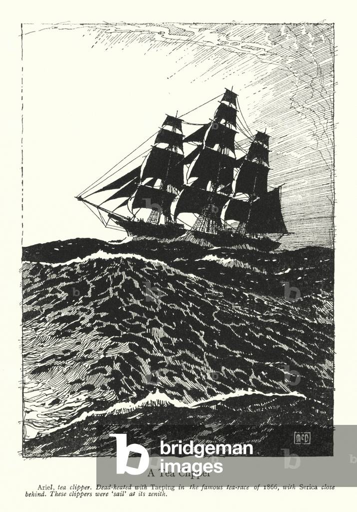 Une tondeuse à thé (litho)