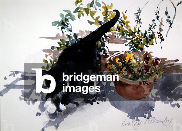 Muffin Playing (w/c su carta)