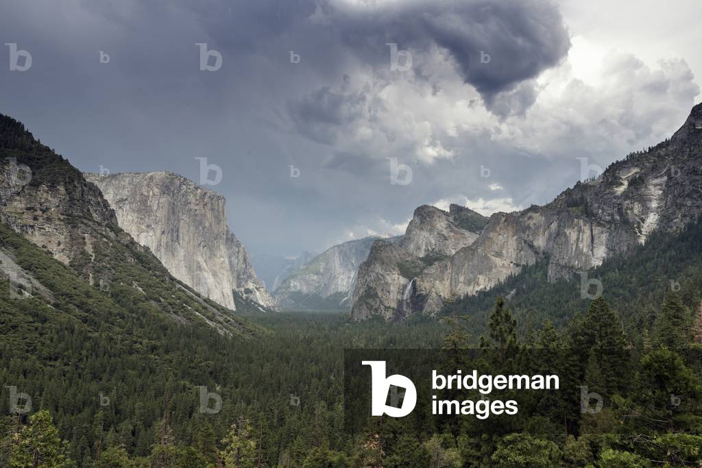 Immagine di Fotografia "Parco Nazionale di Yosemite (foto)"