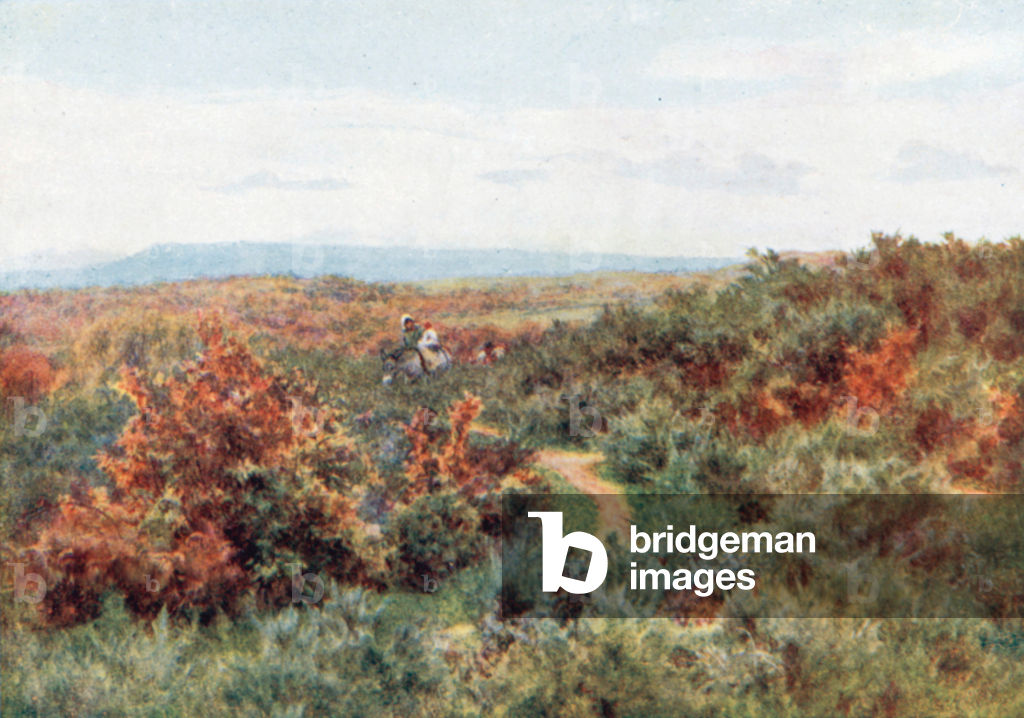 Blackdown von Witley Common (Farblitho)