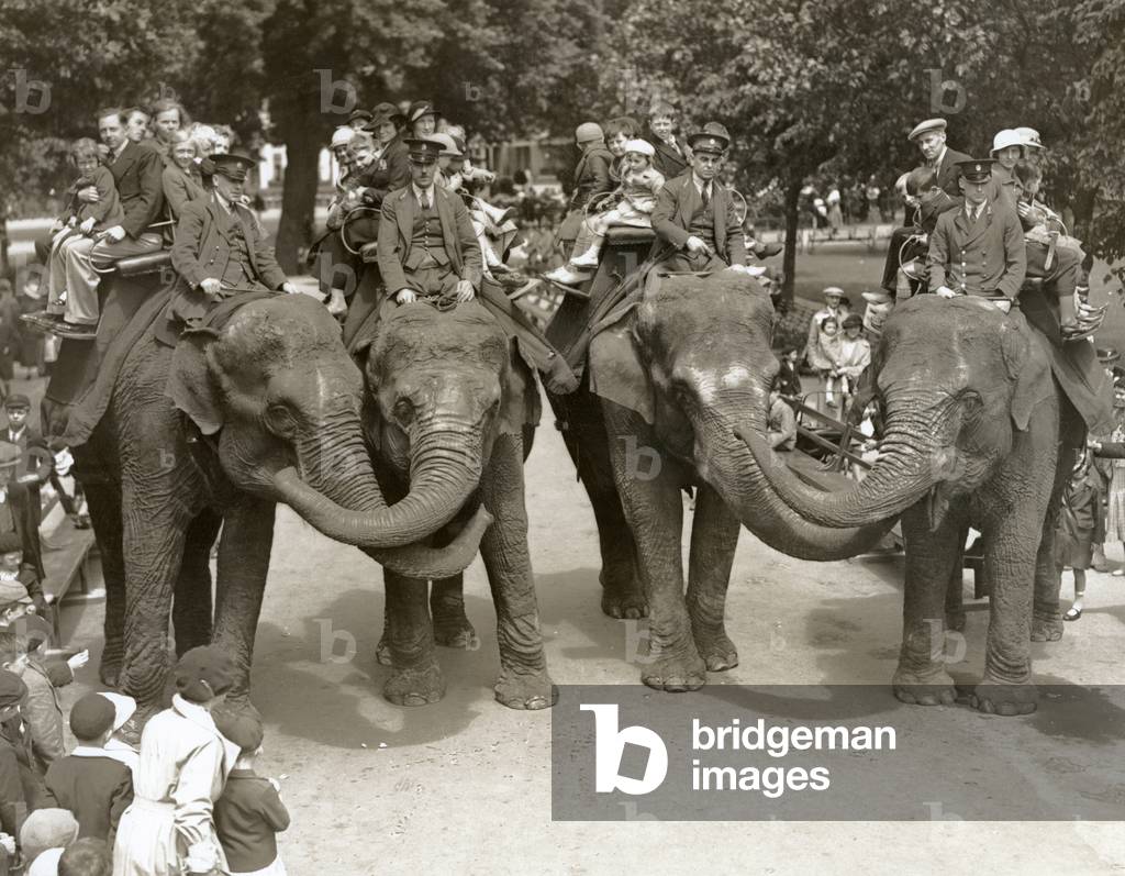 Bild von Fotografie "Elefantenfahrten im London Zoo" 1936 von Frederick William Bond, b/w