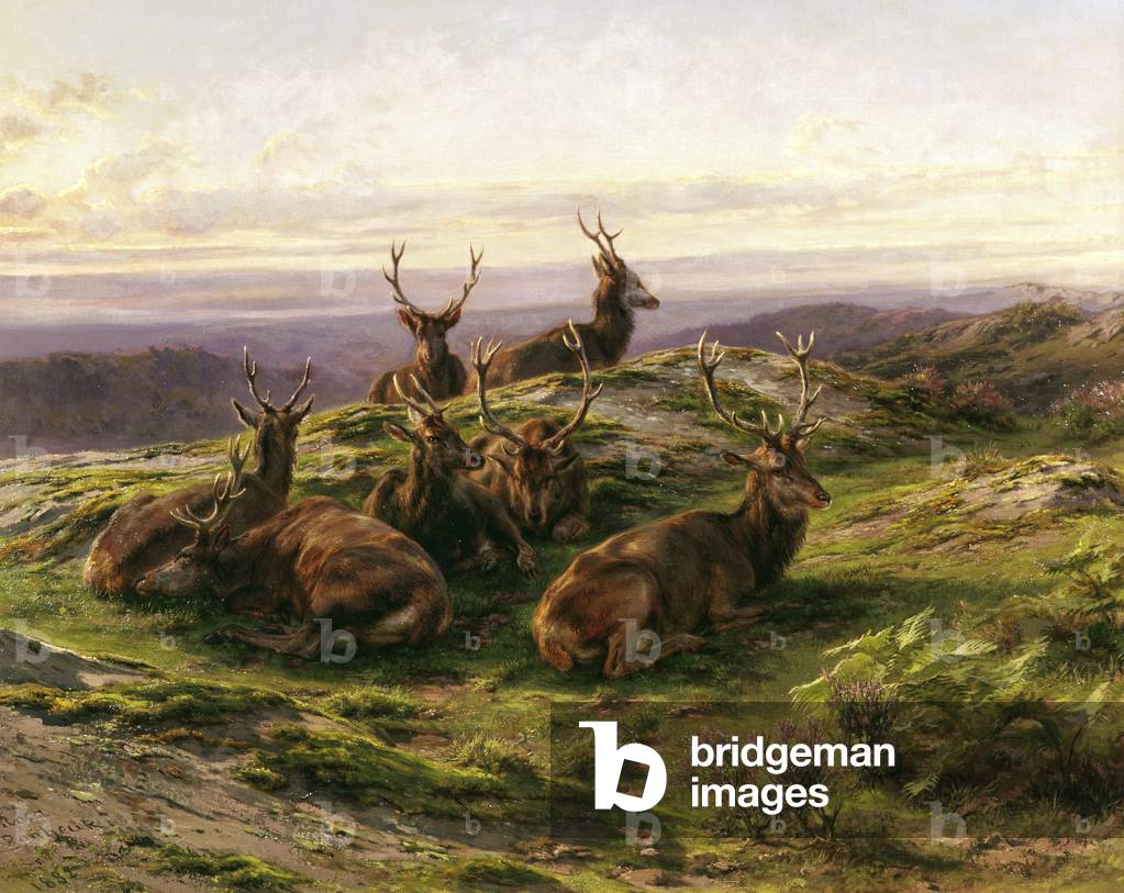 "Hirsche" von Rosa Bonheur
