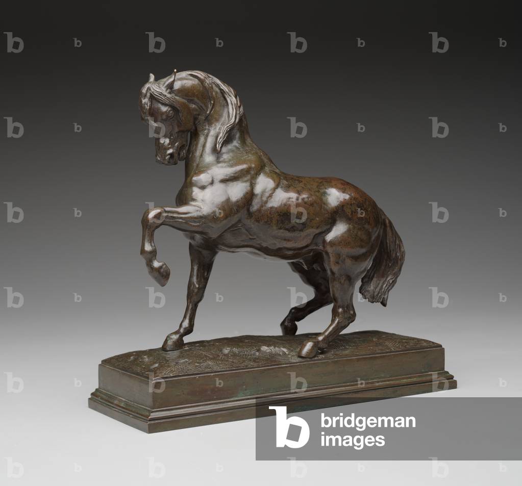 "Cavallo turco", c.1838 di Antoine Louis Barye, b/w