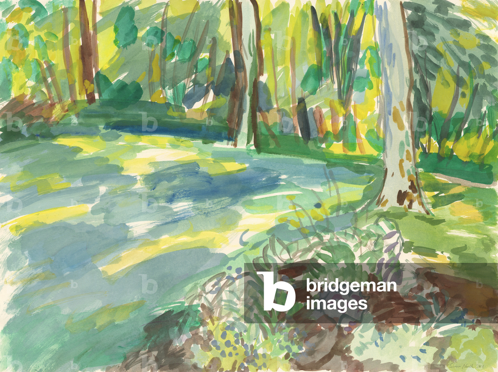 Image of Drawing depicting Garden and wetland 2018 by Simon Neville