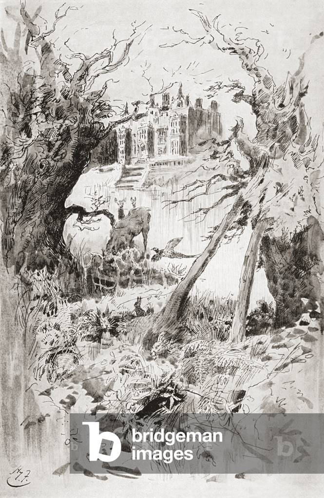 Immagine di Libro "Casa desolata. Illustrazione di Harry Furniss per il romanzo di Charles Dickens Bleak House