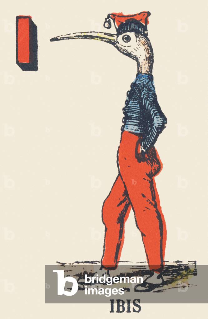 Bild von Gravur "ALPHABET DER GROTESKEN ibis" 1860 von French School
