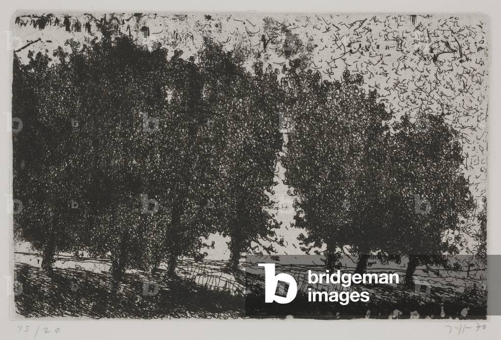 Landscape with Trees, 1970 (etching)