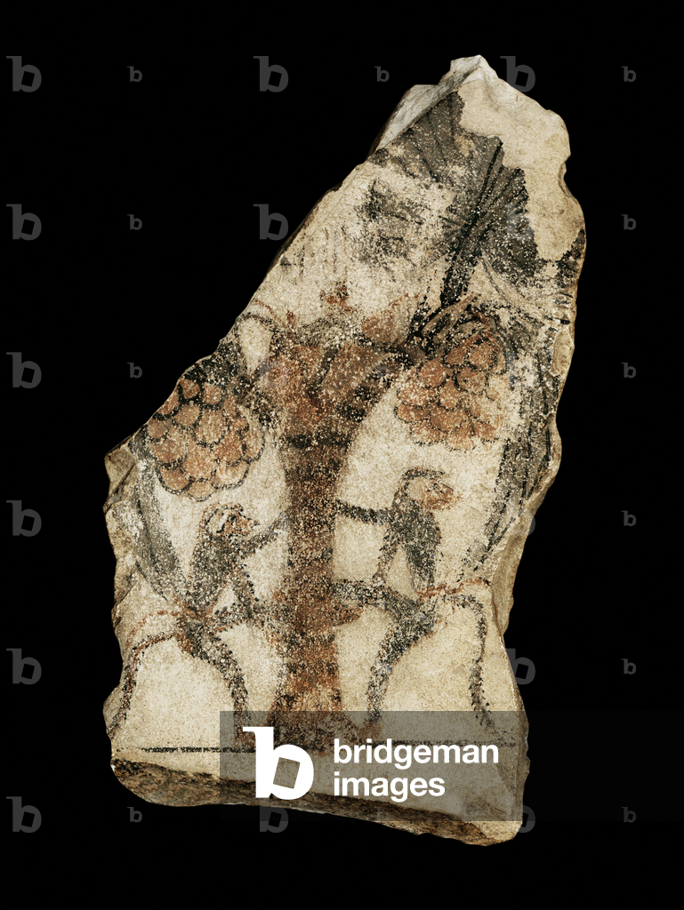 Ostracon, raffigurante scimmie che raccolgono datteri da un albero di palma ...