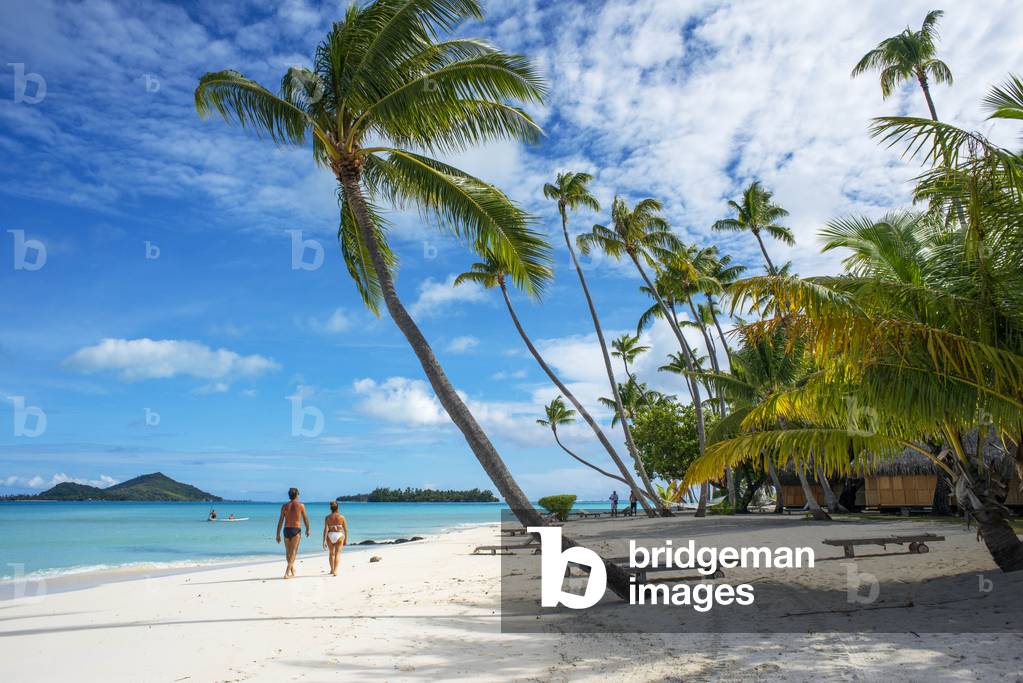 "Palmen im Strand von Le Bora Bora by Pearl Resorts Luxusresort auf der Insel Motu Tevairoa" 2020 von Sergi Re