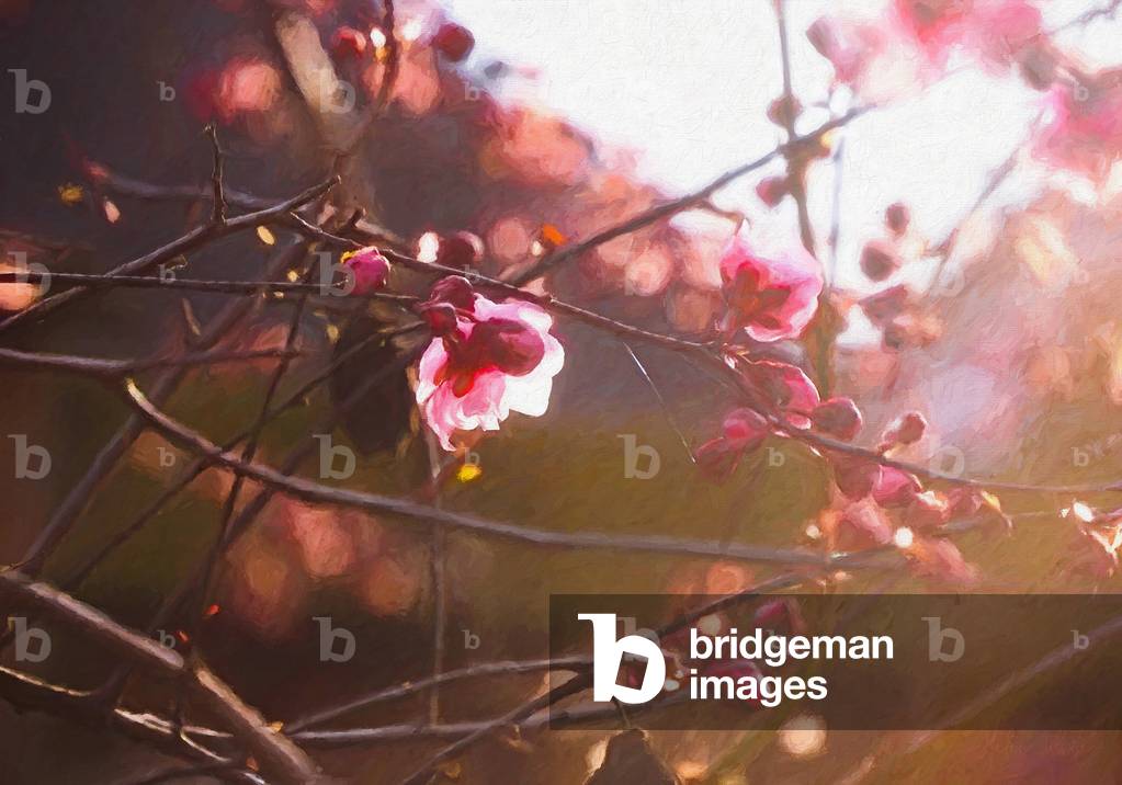 

Erste Morgenwärme des Frühlings, 2018 (manipulierte Fotografie)