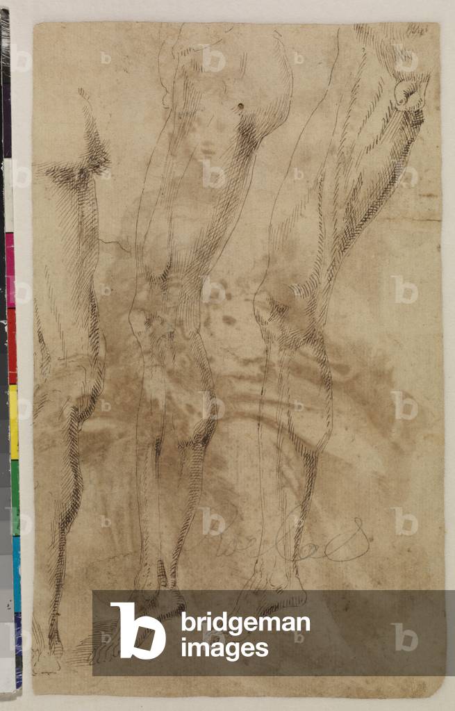 Trois études d'une jambe mâle (verso) c.1537 (stylo et encre brune sur papier vergé) [voir 5948317] 1535 par A