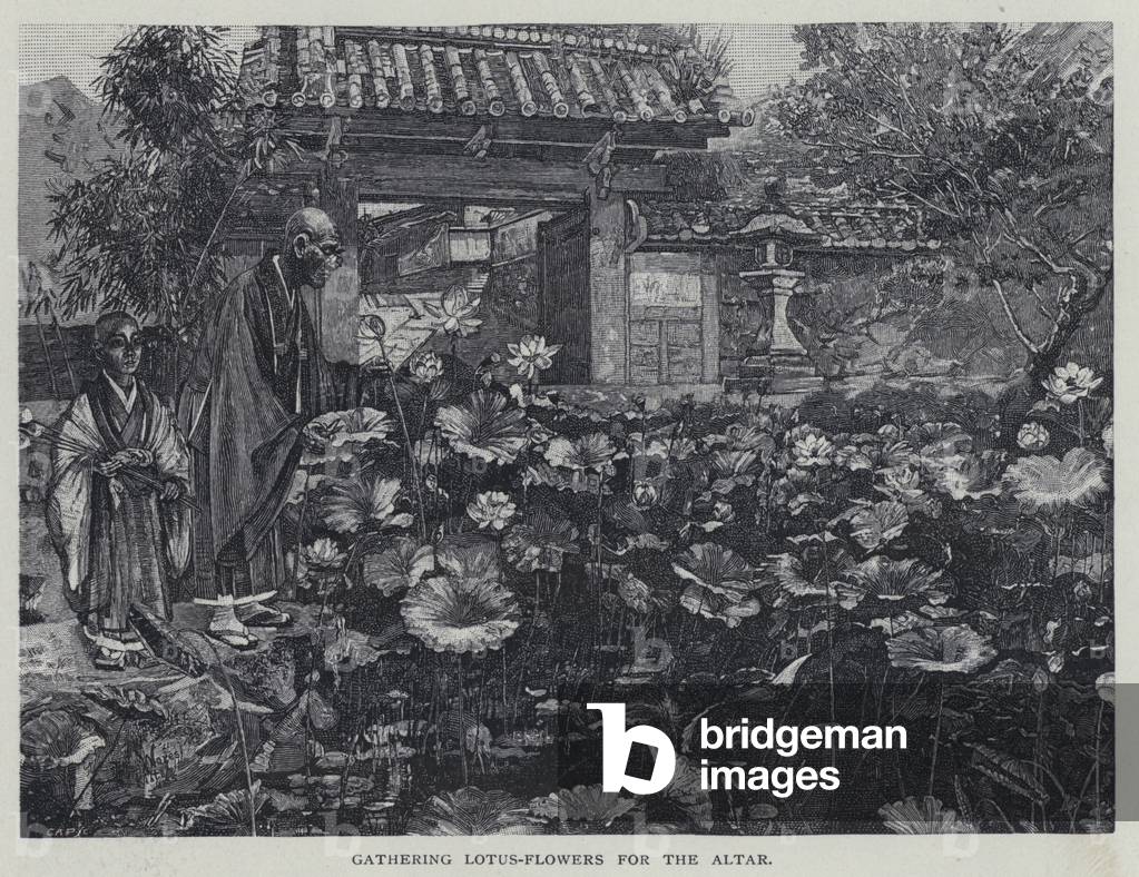 Gathering lotus-flowers for the altar (litho)
